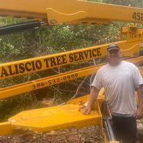 Aliscio Tree Service Logo